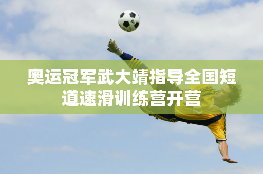入确实给了