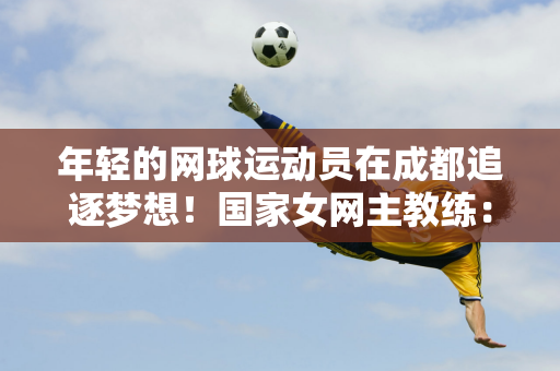 成功案例不